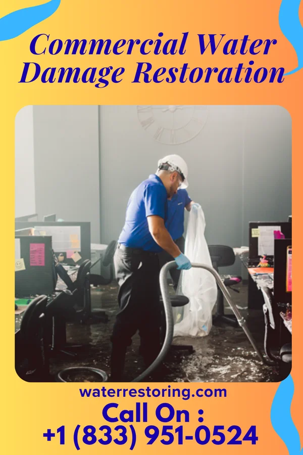 Commercial Water Damage Restoration in Avery Creek, NC