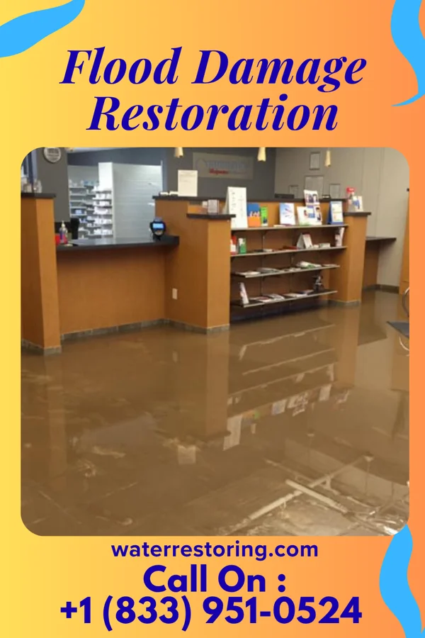 Flood Damage Restoration in Avery Creek, NC