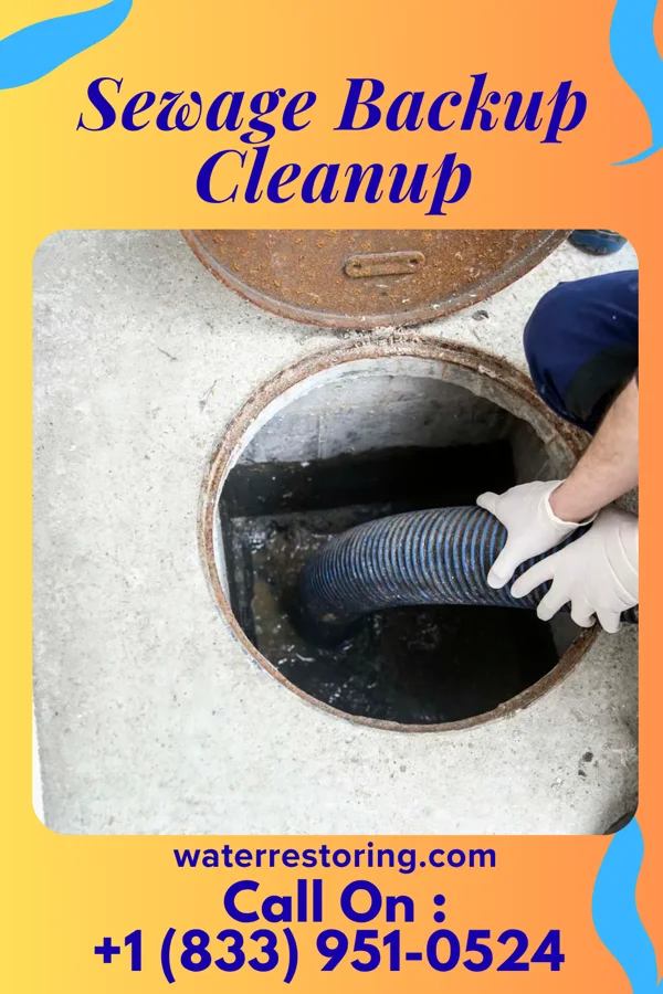 Sewage Backup Cleanup in Avery Creek, NC